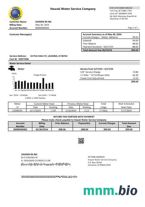 USA Hawaje Water Service Company rachunek za usługi komunalne szablon w formacie Word i PDF